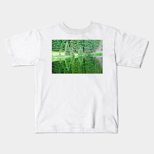 Lake Irene 12-1 Kids T-Shirt